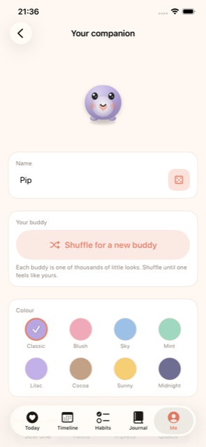 Companion customisation screen with name, shuffle and colour options